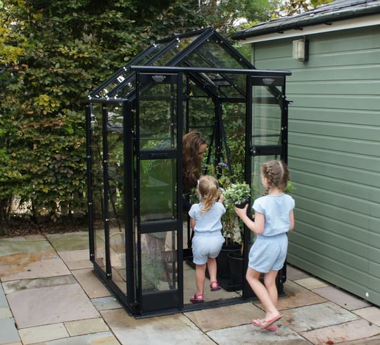 Elite Compact 4x6 Black Greenhouse
