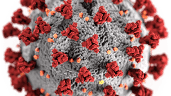 How Self-Sufficient Living is Important in COVID-19 Times