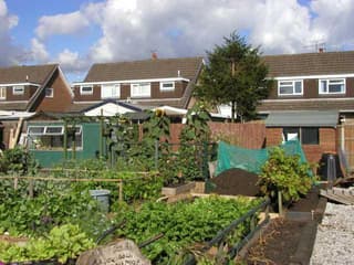 How to Get An Allotment"