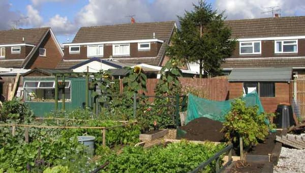 How to Get An Allotment