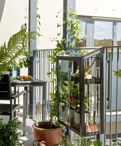 Balcony Garden Ideas UK