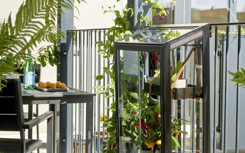 Balcony garden with containers and herbs in a UK city flat