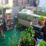 How To Create Your Perfect Balcony Garden