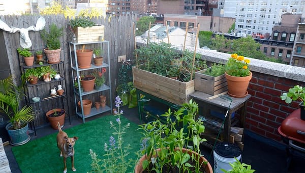 How to Create Your Perfect Balcony Garden