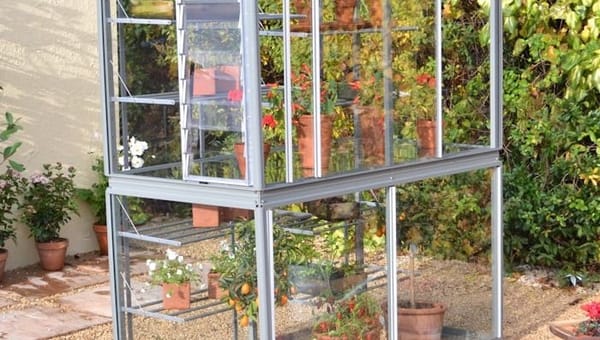 Best Mini Greenhouses UK: Compact Growing for Small Spaces