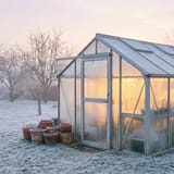 December Gardening Jobs UK