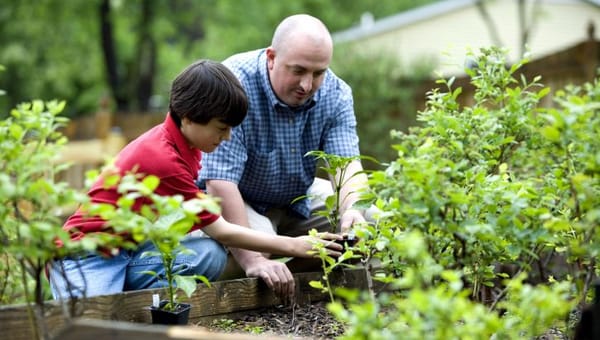 Family Gardening: Fun Greenhouse Activities for Kids