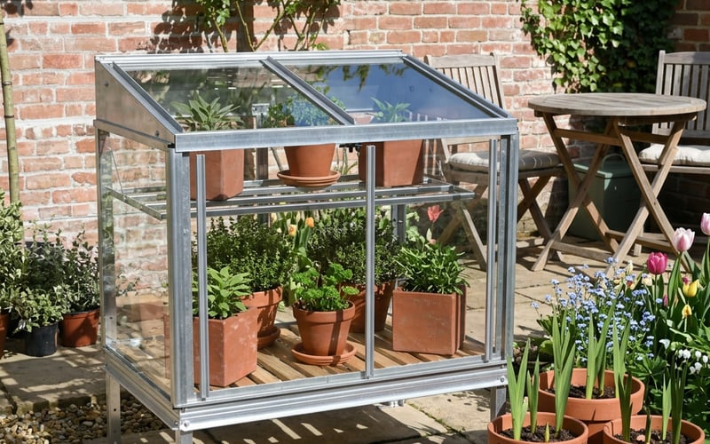 1x3 Access Herb House Mini Greenhouse in a patio garden setting ideal for starting gladioli corms early