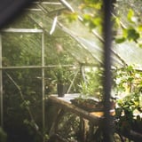 Taking Care of Your Greenhouse in Winter