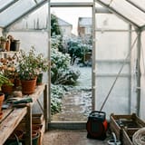 How to Insulate a Greenhouse: Materials, Methods and Heat Savings