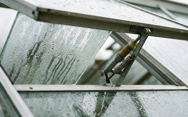 Greenhouse condensation on glass next to an open roof vent.