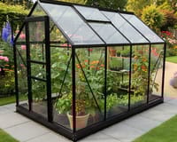 Best Greenhouse Tomato Varieties UK: 8 Proven Picks for 2026