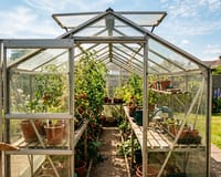 Greenhouse Ventilation Guide: Vents, Fans and Preventing Overheating