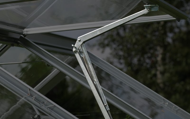Automatic roof vent opening in a greenhouse with tomato plants in the foreground