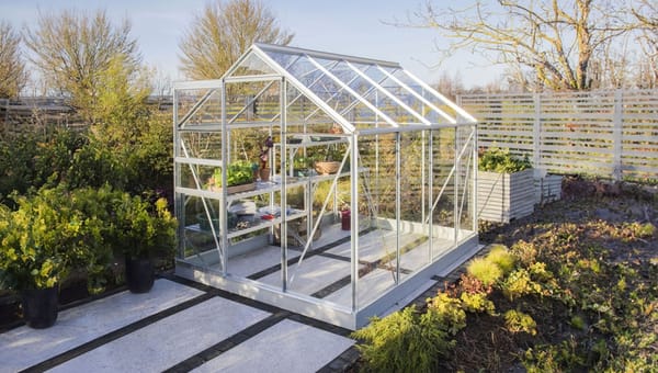 Greenhouse vs Polytunnel: Which Is Better for a UK Garden?