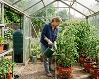 Greenhouse Watering & Irrigation Guide: Manual vs Automatic Systems