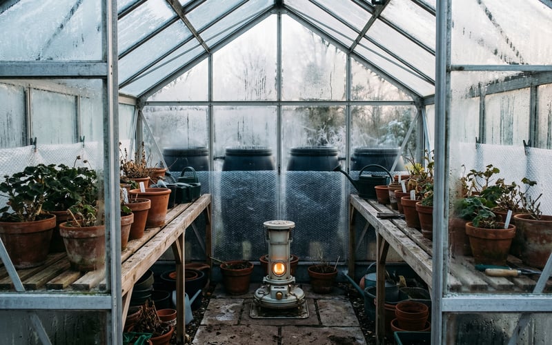Interior of a greenhouse in winter with water barrels for thermal mass, bubble wrap insulation, and a paraffin heater between staging benches