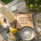 Homemade Weed Killers: Natural Solutions That Actually Work