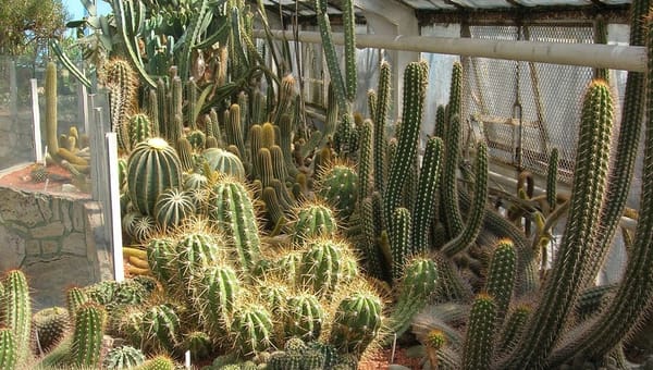 How to Heat a Greenhouse