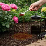 How to Use Coffee Grounds for Plants: UK Expert Guide 2025