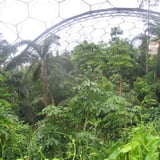 How Can We Maintain the Humidity Inside a Greenhouse?