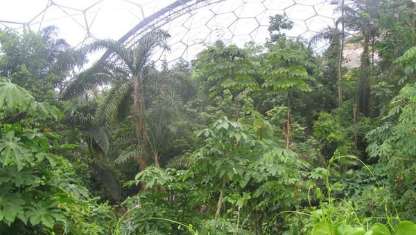 How Can We Maintain the Humidity Inside a Greenhouse?