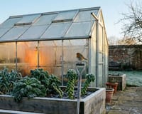 January Gardening Jobs: The Ultimate UK Guide (2026 Edition)