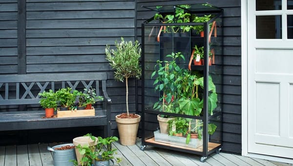 Urban Gardening: Growing Food in Small UK Spaces