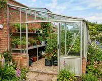 Lean-To Greenhouse Guide: Buying, Positioning and What to Grow