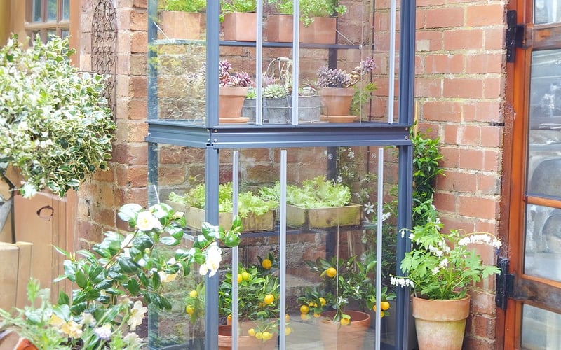 Mini greenhouse for urban balconies - Access City Growhouse 2x3 in anthracite grey