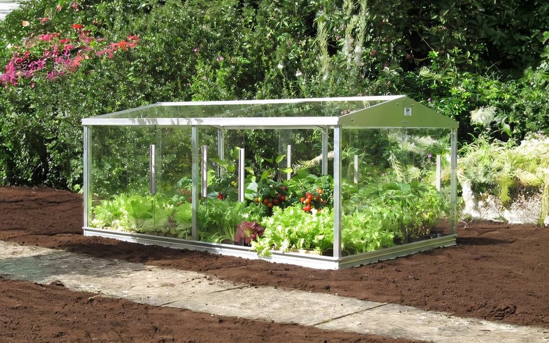 Large cold frame UK - Access 6x4 aluminium coldframe with toughened glass for propagation
