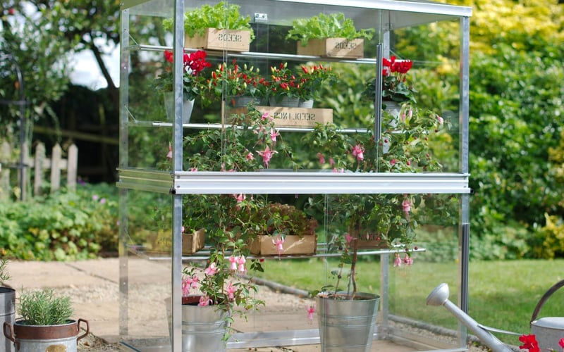 Mini greenhouse growhouse Access 2x4 with toughened glass shelving for small garden growing