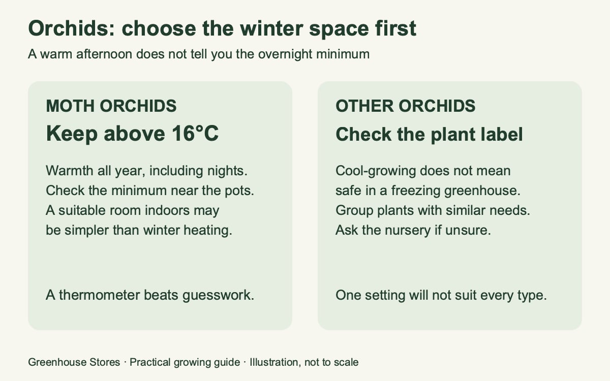 Winter-space decision guide for moth orchids and other orchid types