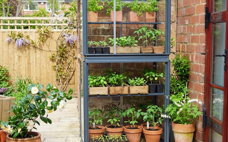 Access 2x3 City Growhouse mini greenhouse on a suburban patio with young plants growing inside
