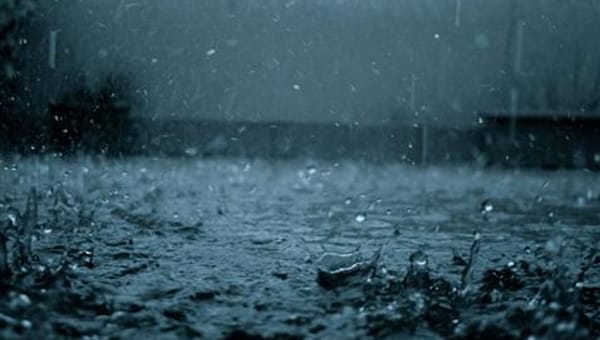 How to Protect Your Greenhouse from Bad Weather