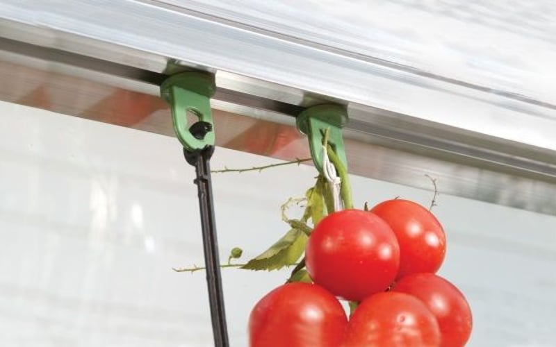 Palram Plant Hangers pack of 10 - robust plant hooks for greenhouse vertical growing