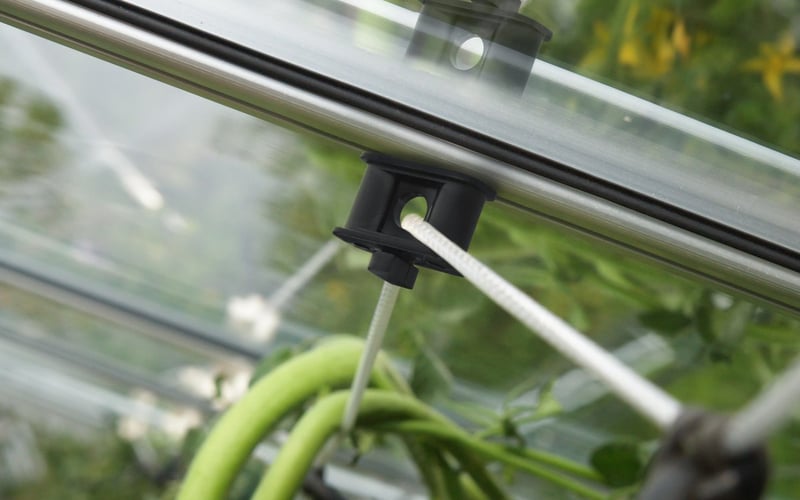 Vitavia Screwhooks pack of 10 - metal twist-fit hooks for stringing tomatoes in Vitavia and Halls greenhouses