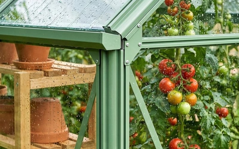 Close up of toughened glass showing clear view of plants inside