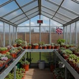 Greenhouse Succulents UK: Complete Growing & Care Guide 2025