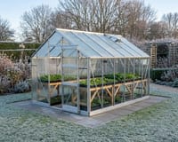 What to Grow in an Unheated Greenhouse: Month by Month UK Guide