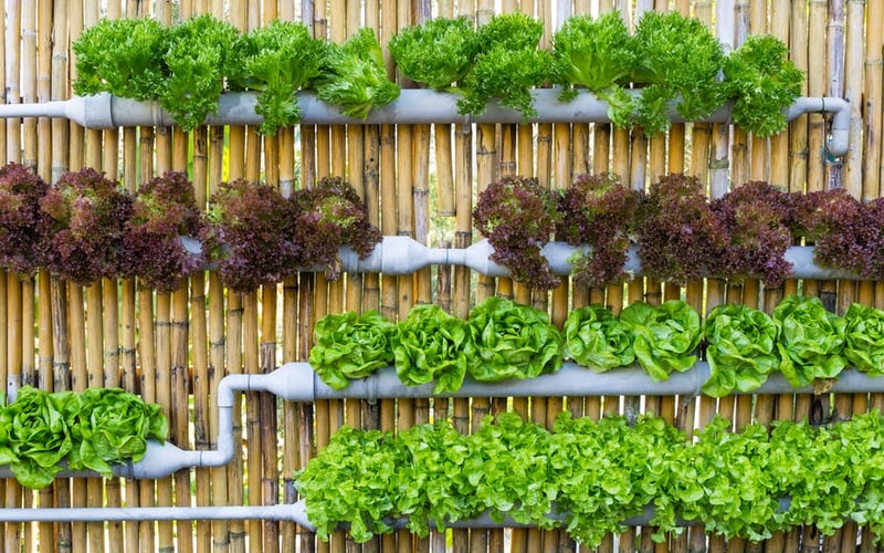 Vertical hydroponic growing system for urban food production