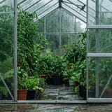 Should a Greenhouse Be Watertight?