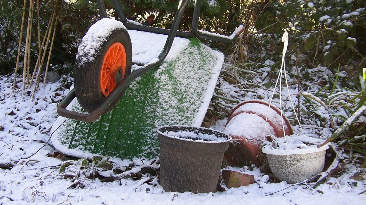 UK garden under snow with greenhouse and bare trees