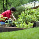 Why Are Young People Turning To Gardening?
