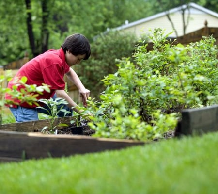 Why Are Young People Turning To Gardening