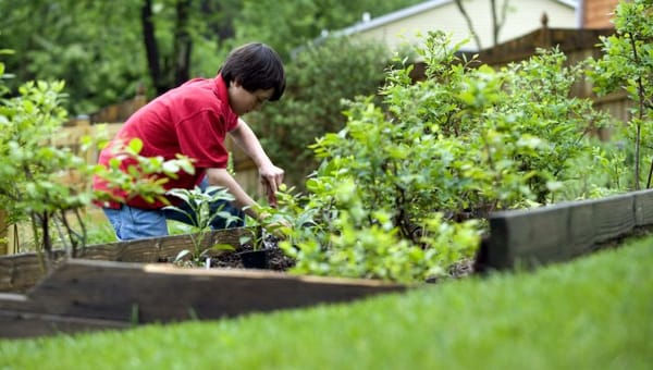Why Are Young People Turning to Gardening?