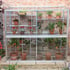 3x6 Access Hampton D  Lean To Greenhouse with Toughened Glass