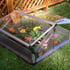 Palram Double Cold Frame