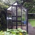 Eden Birdlip 4x8 Zero Threshold Greenhouse in Black