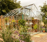 Eden Consort Silver 8x10 Greenhouse - Horticultural Glazing